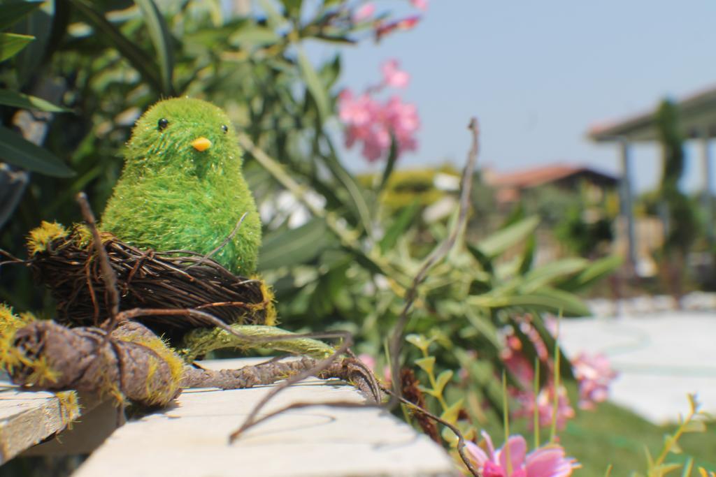 Lapis Port Surf Hotel Alaçatı Buitenkant foto