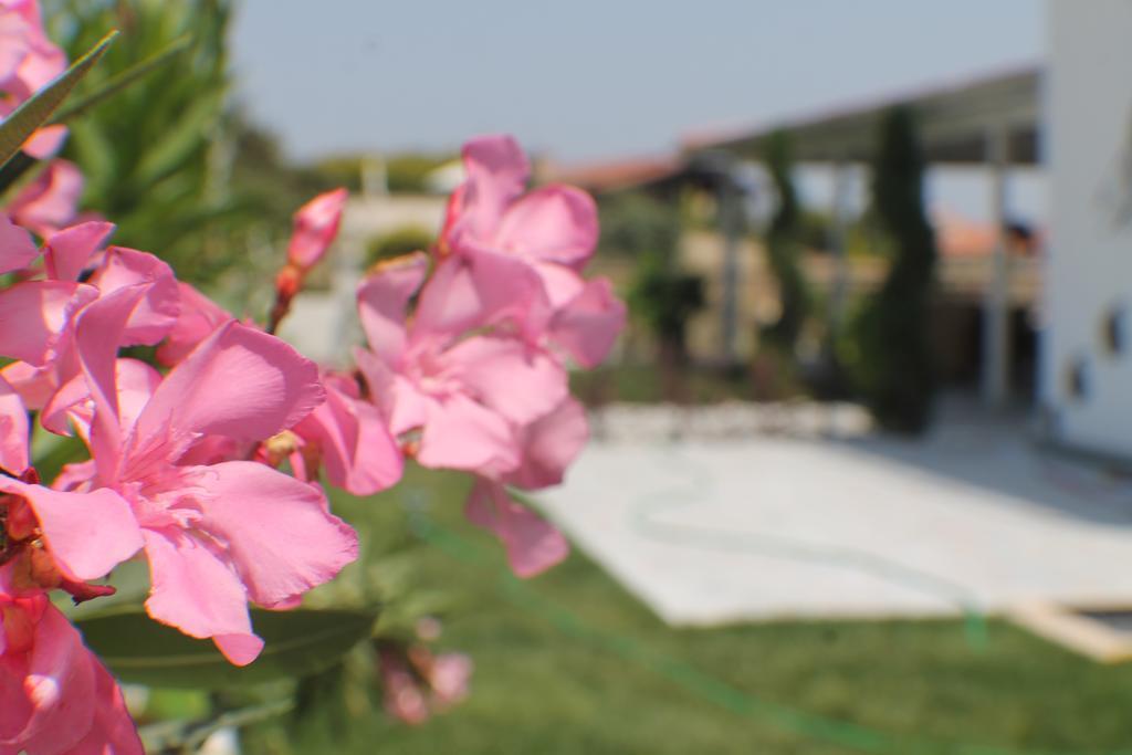 Lapis Port Surf Hotel Alaçatı Kamer foto